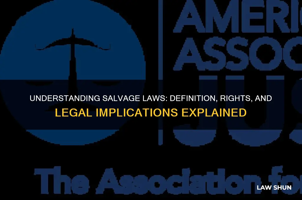 what is the definition of salvage laws