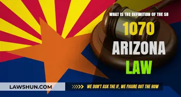 Understanding Arizona's SB 1070: Definition, Impact, and Legal Implications