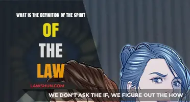 Understanding the Spirit of the Law: Essence Beyond Legal Text