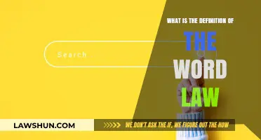Understanding the Core Meaning: What is the Definition of Law?