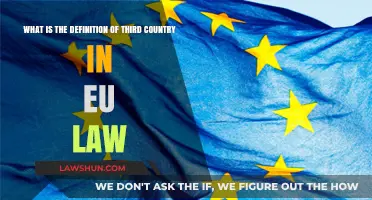 Understanding the Definition of Third Country in EU Law
