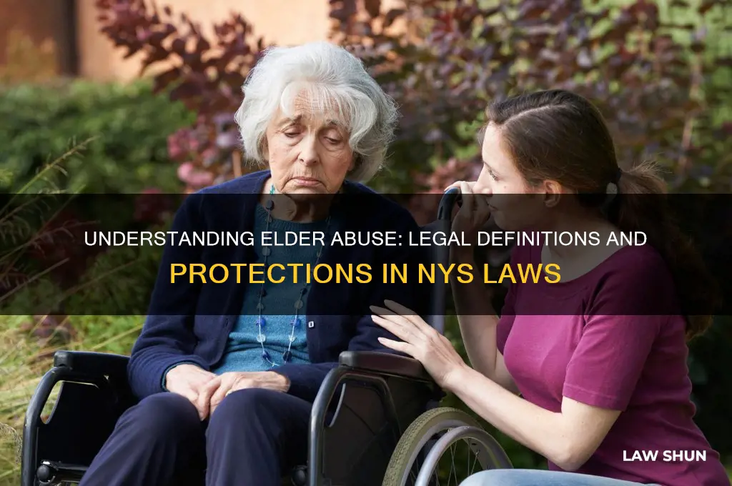 what is the description of elder abuse in nys laws