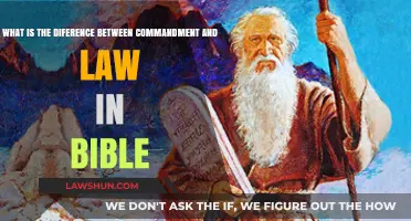 Commandments vs. Laws: Understanding Biblical Distinctions and Their Meanings