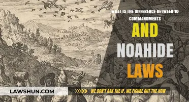 Commandments vs Noahide Laws: What's the Difference?