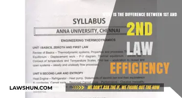 Understanding Efficiency: First and Second Laws Explained