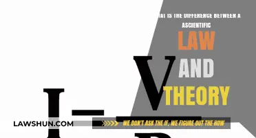 Scientific Laws vs Theories: What's the Distinction?