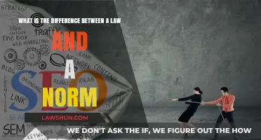 Laws vs Norms: Understanding Social Control