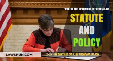 Statutes, Laws, and Policies: What's the Difference?
