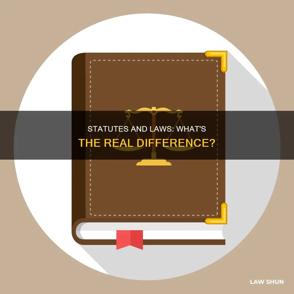 what is the difference between a statue and a law