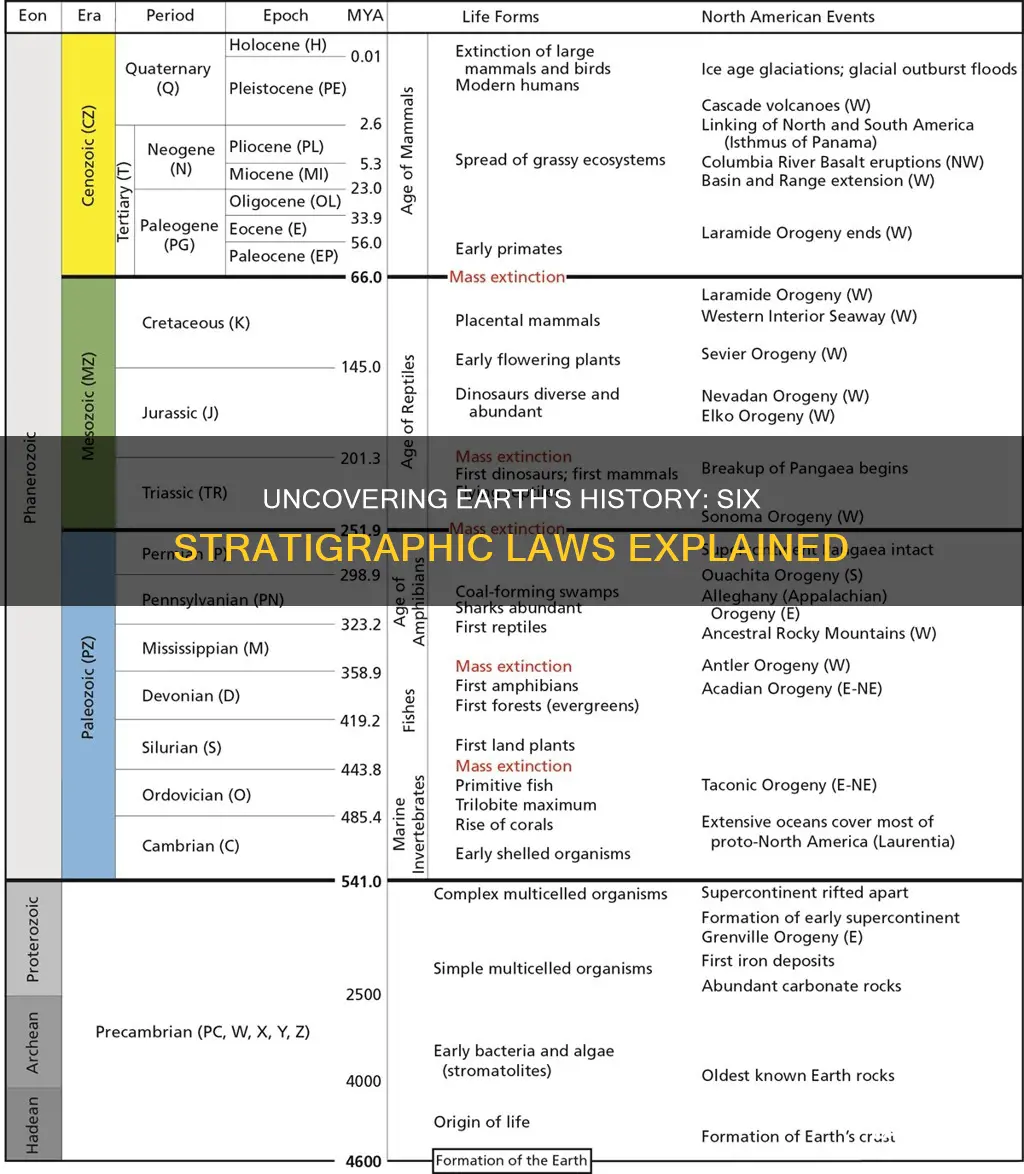 what is the difference between all 6 stratigraphic laws