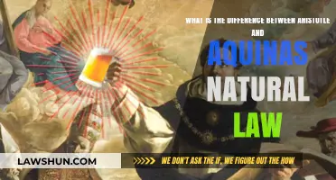 Aristotle vs Aquinas: Natural Law Compared