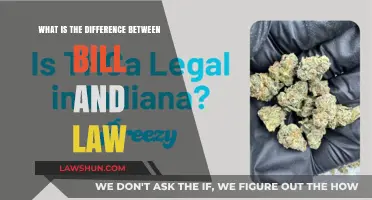 Understanding Bills and Laws: Vital Distinctions