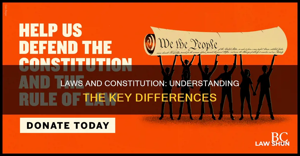 what is the difference between by laws and constitution