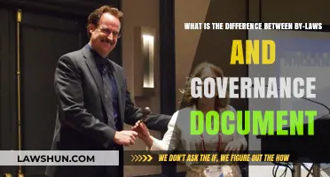 By-laws and Governance: What's the Difference?