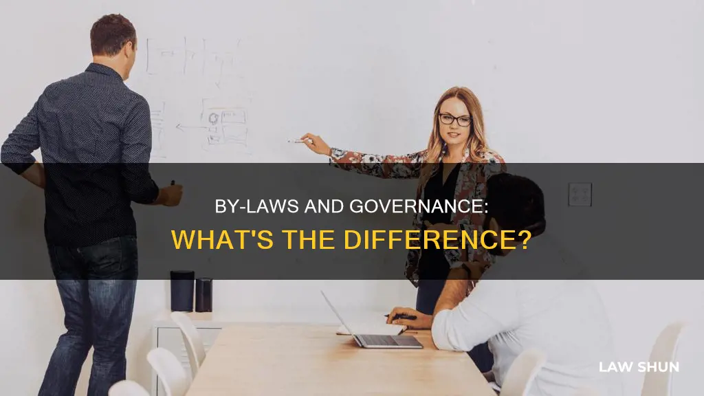 what is the difference between by-laws and governance document