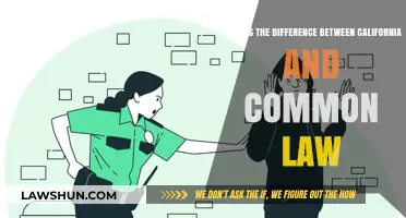 California vs Common Law: What's the Difference?