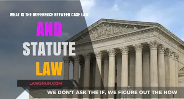 Case Law vs Statute Law: Understanding the Distinction