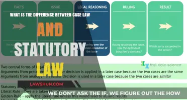Case Law vs Statutory Law: What's the Difference?