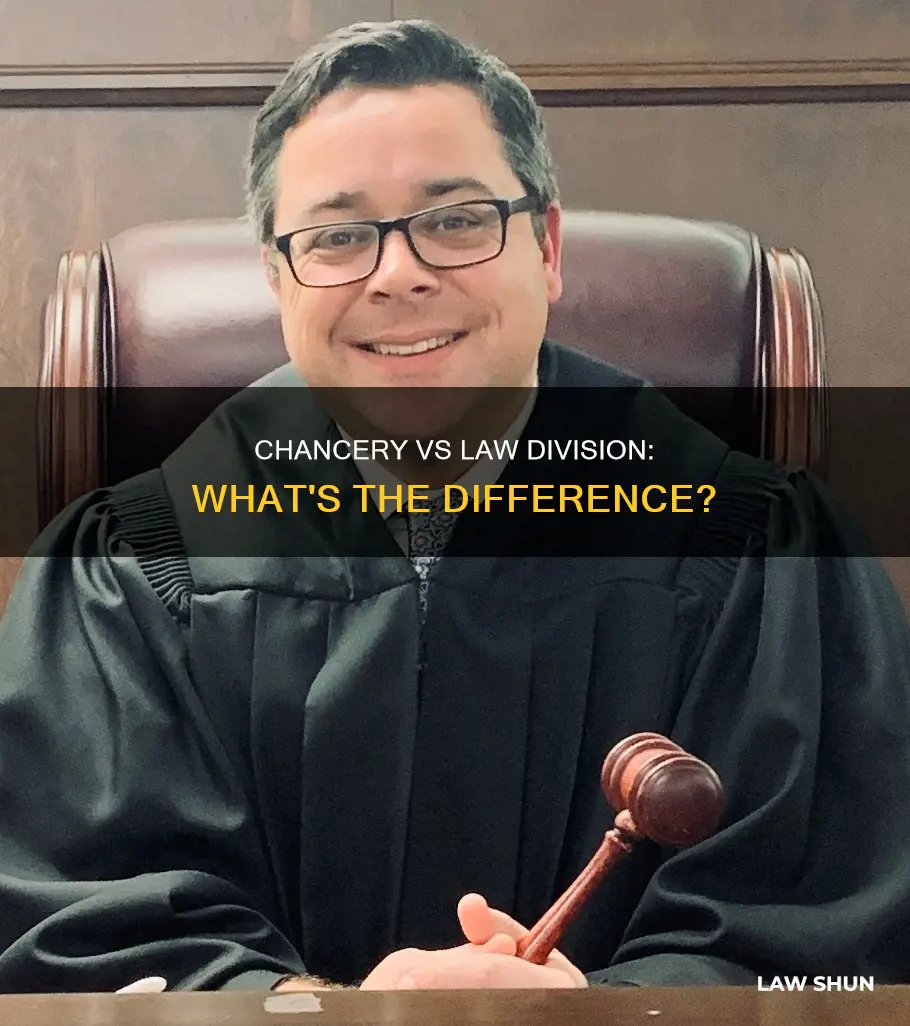 what is the difference between chancery and law division