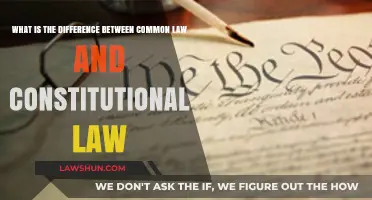 Common Law vs. Constitutional Law: What's the Difference?
