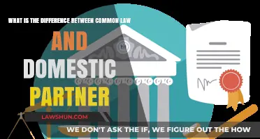 Understanding Common Law vs. Domestic Partnership
