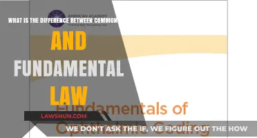 Fundamental vs Common Law: What's the Difference?