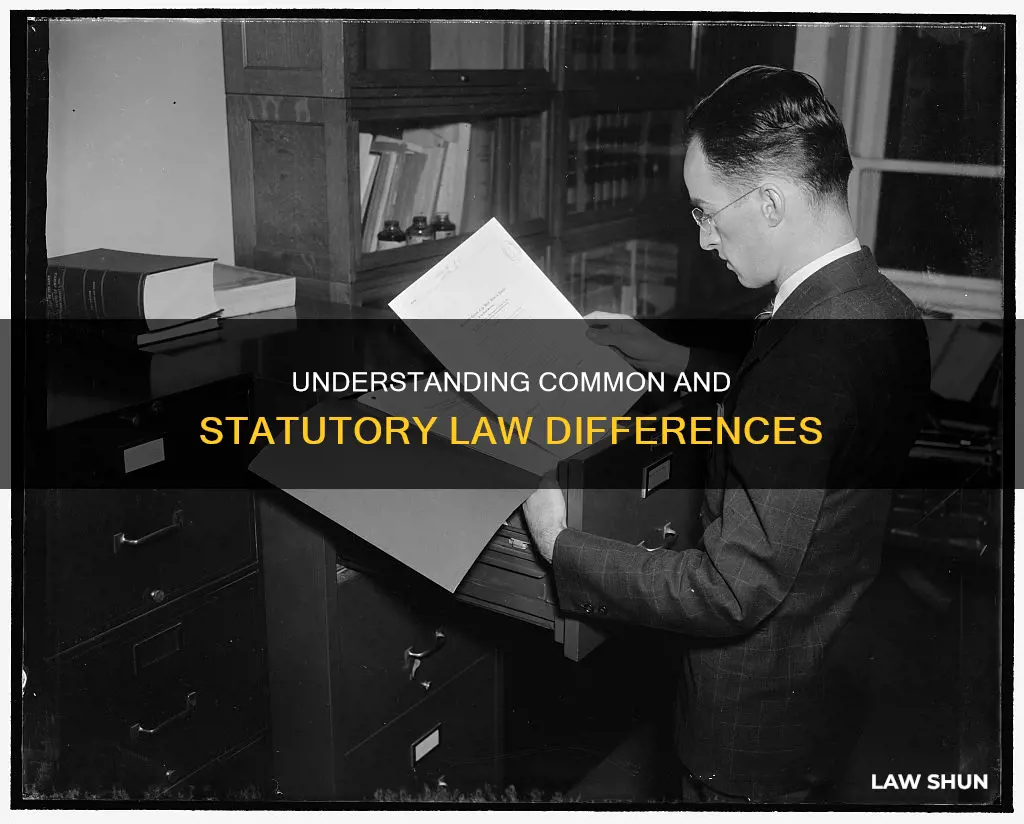 what is the difference between common law and statutory law