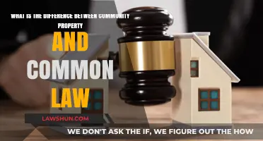 Community Property vs Common Law: Understanding Marital Property Laws