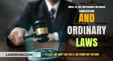 The Constitution vs. Ordinary Laws: What's the Difference?