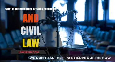 Civil vs Corporate Law: What's the Difference?
