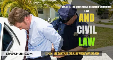 Criminal vs Civil Law: What's the Difference?