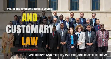 Customary vs Custom Law: Understanding the Distinction
