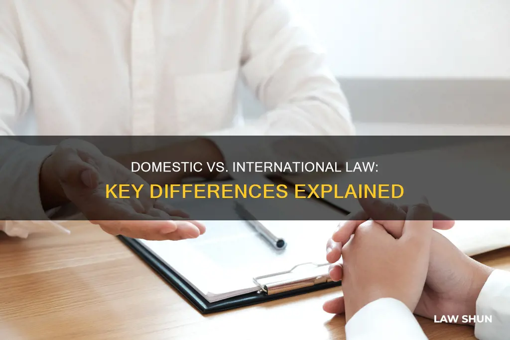 what is the difference between domestic and law