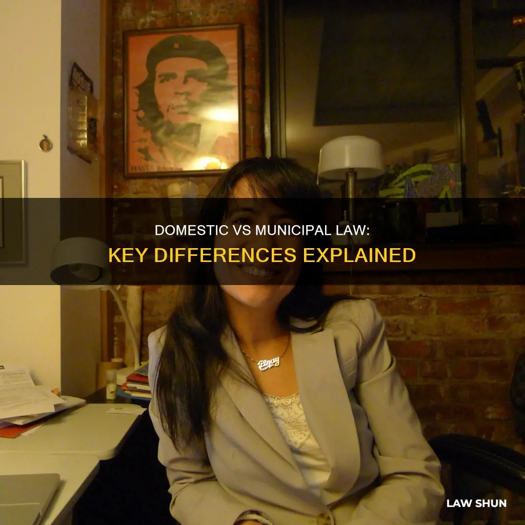 what is the difference between domestic and municipal law