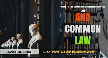 Enacted Law vs Common Law: What's the Difference?
