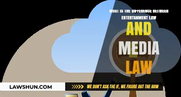 Entertainment Law vs. Media Law: Understanding the Key Differences