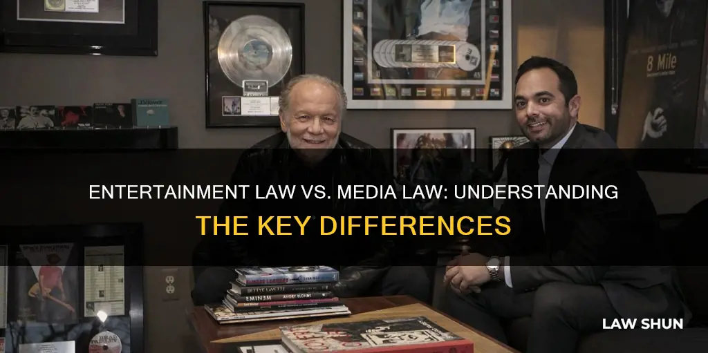what is the difference between entertanment law and media law
