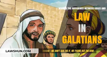Understanding Grace and Law in Galatians