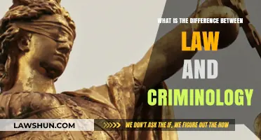 Exploring Law and Criminology: Understanding Their Unique Roles