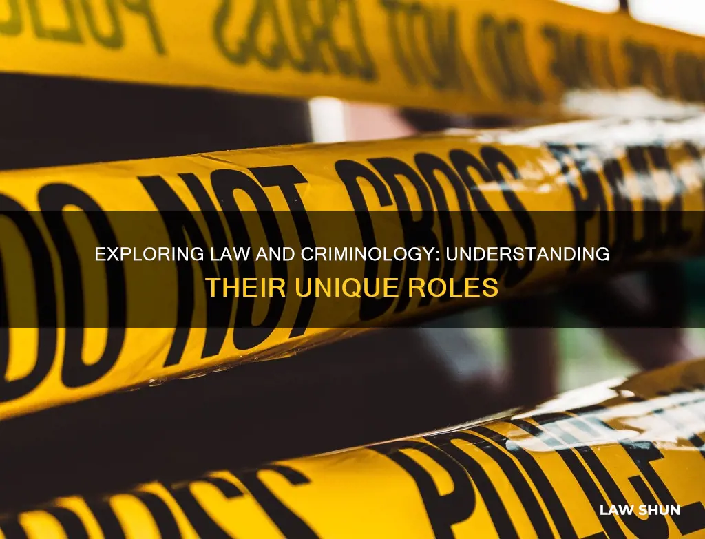what is the difference between law and criminology