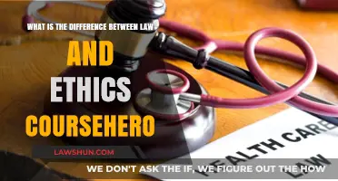 Law and Ethics: Exploring Boundaries