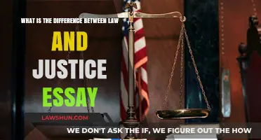 Law vs Justice: Exploring the Dichotomy