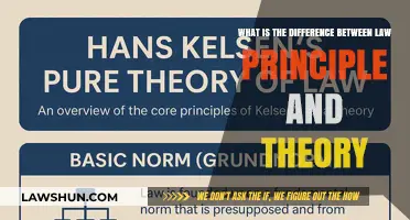 Principles, Theories, and Laws: What's the Difference?
