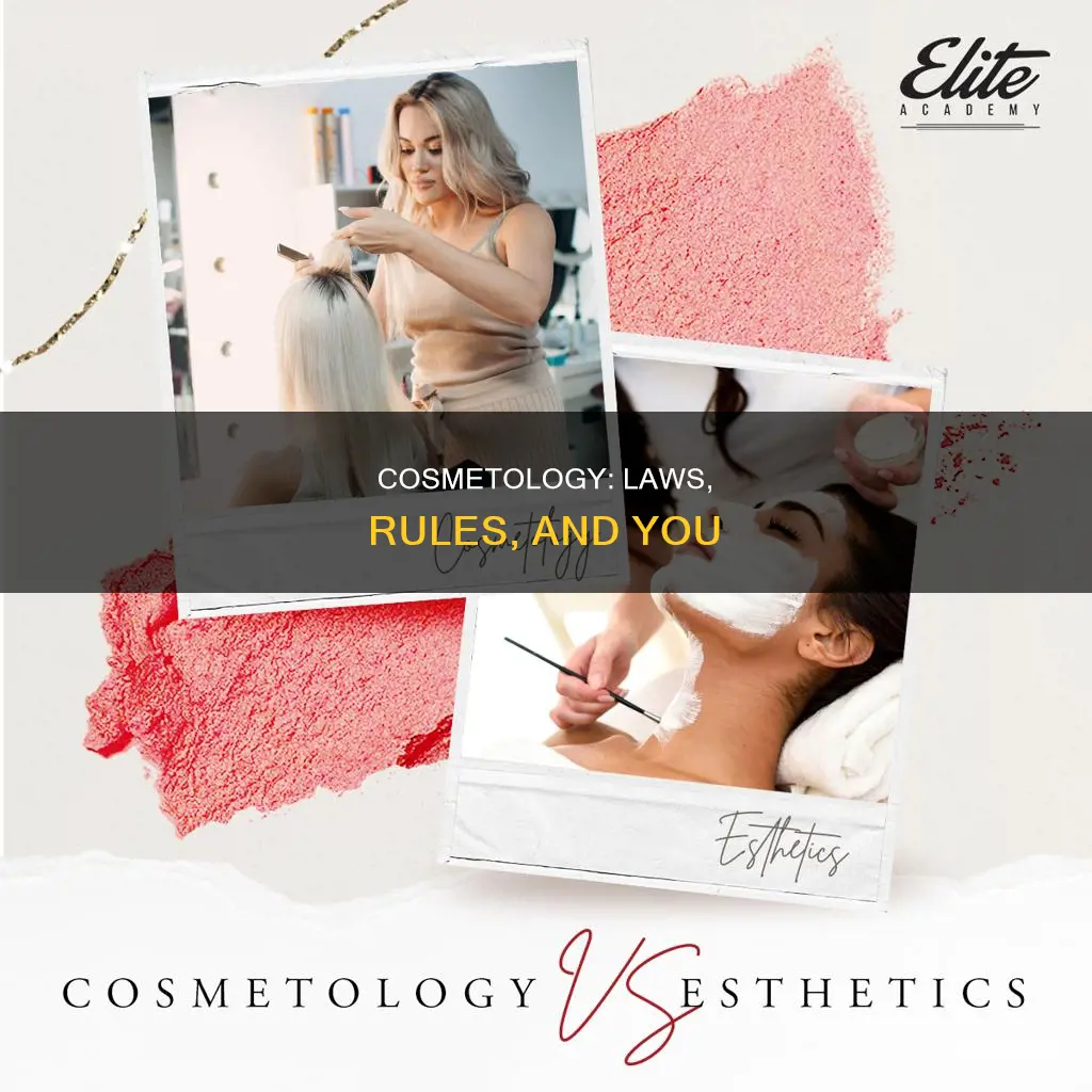 what is the difference between laws and rules cosmetology