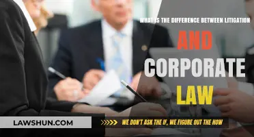 Litigation vs Corporate Law: What's the Difference?