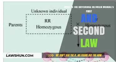 Unraveling Mendel's Laws: First vs. Second Law Differences