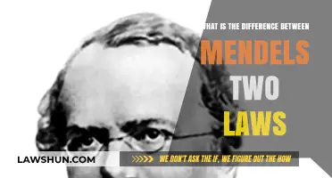 Mendelian Inheritance: Mendel's Two Laws Explained