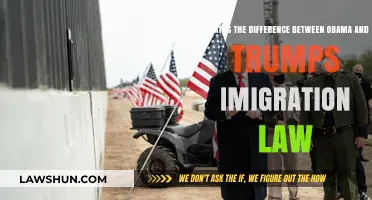 Obama vs Trump: Immigration Laws Compared