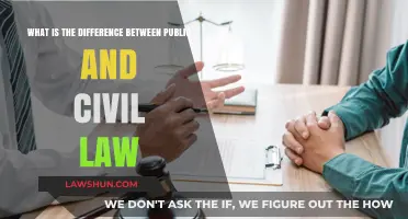 Civil vs. Public Law: Understanding the Core Distinction