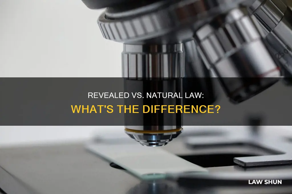 what is the difference between revealed law and natural law
